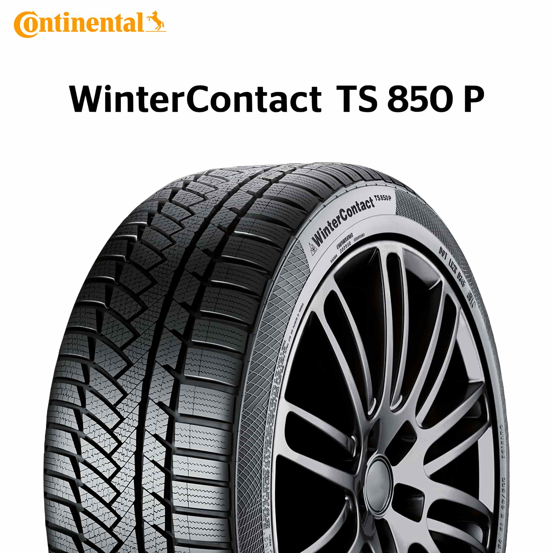 23年製 295/45R20 114V XL コンチネンタル WinterContact TS 850 P (ウィンターコンタクトTS 850 P) WC 20インチ 新品