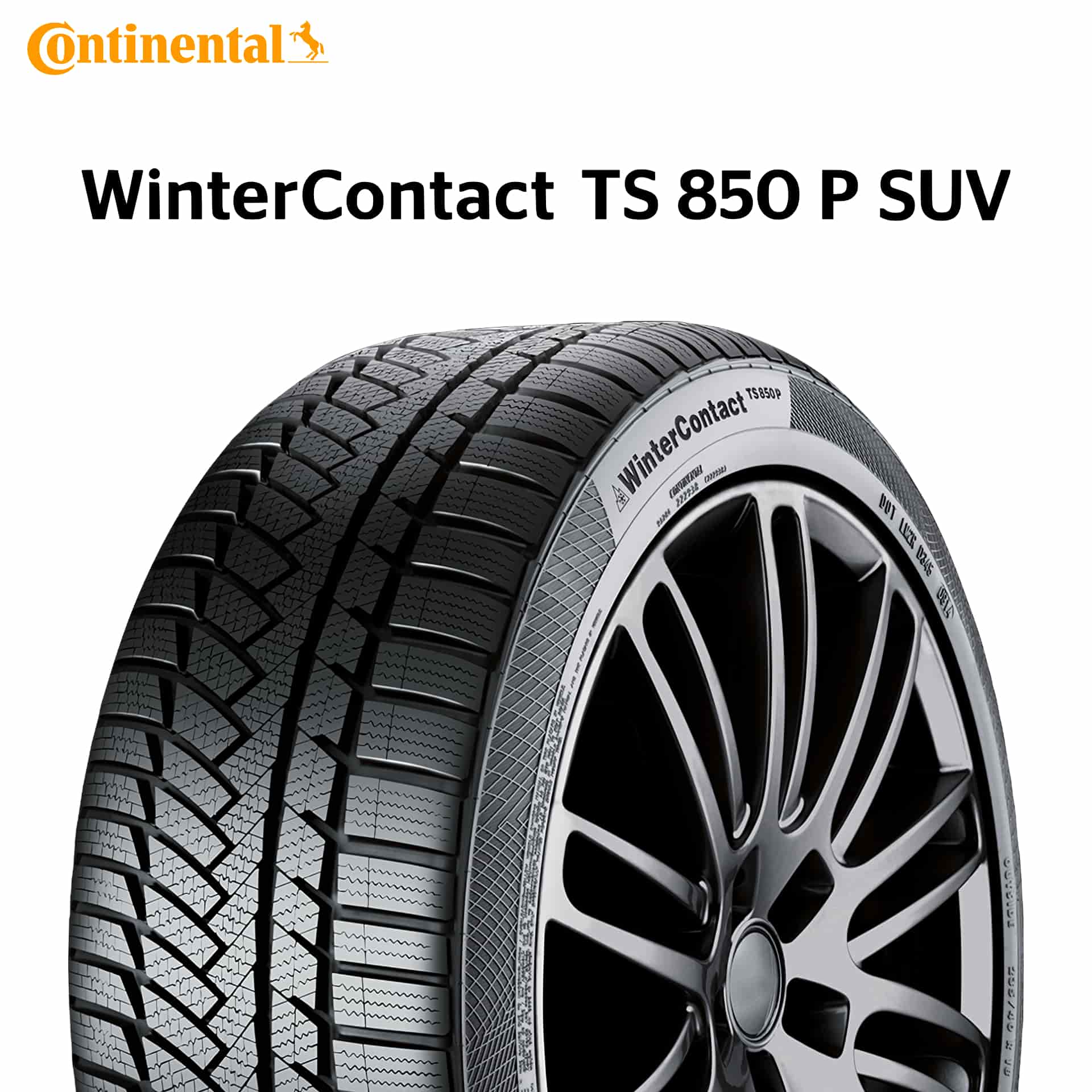 25年製 215/60R18 98H SSR MOE コンチネンタル WinterContact TS 850 P