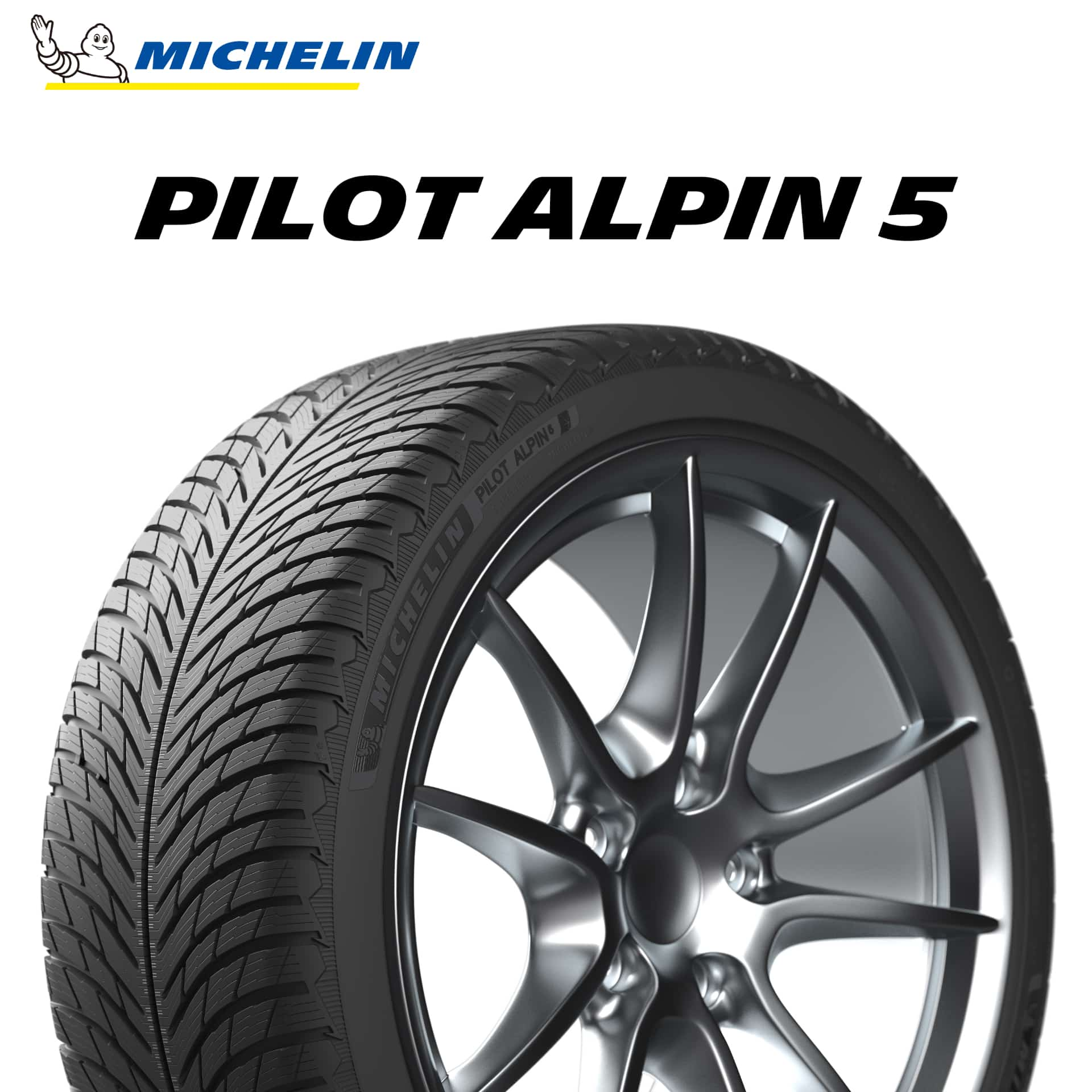 21年製 265/35R21 101V XL ミシュラン PILOT ALPIN 5 (パイロット アルペン5) 21インチ 新品