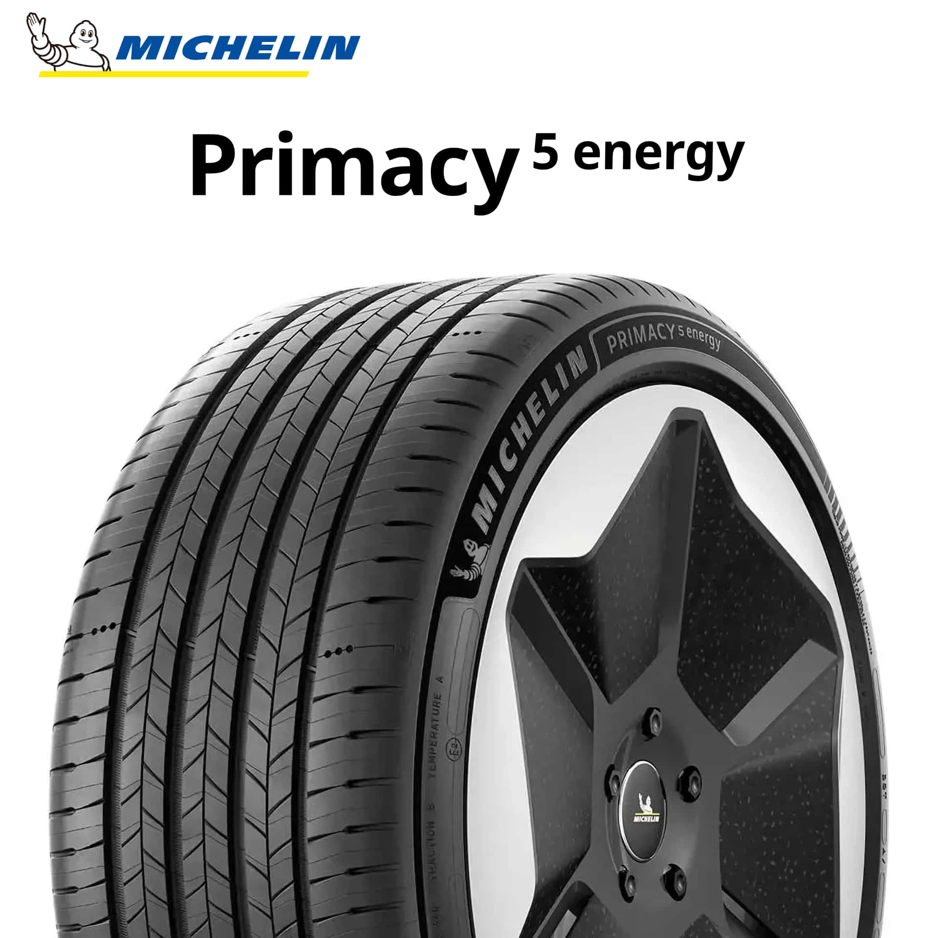 255/45/19夏ミシュラン 23年製 255/45R19 100V N1 ミシュラン PILOT SPORT A/S PLUS